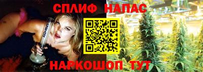 стаф Севастополь