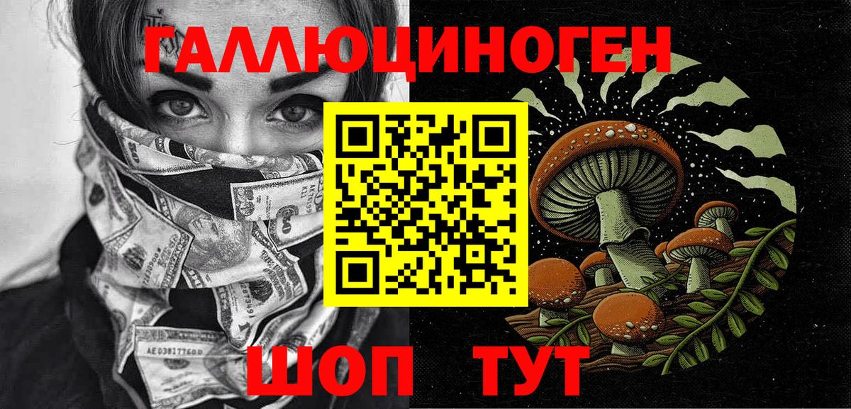 Советская Гавань  Псилоцибиновые грибы Psilocybine cubensis  Вход с VPN 